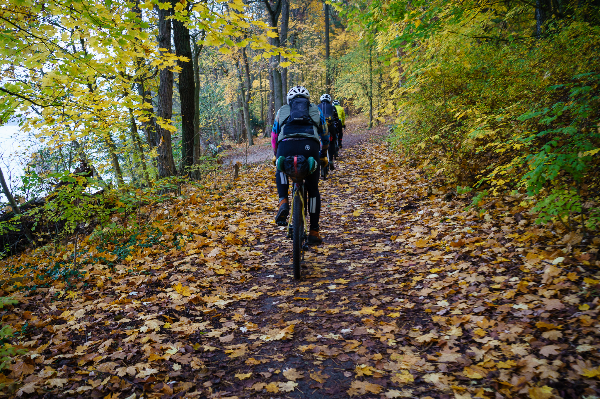 CXBerlin-Gruppe auf einer herbstlichen Gravel-Ausfahrt – laubbedeckter Waldweg am Wasser